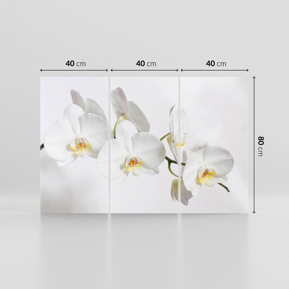 Obraz na płótnie 120x80 - Orchidea Kwiat - orchidea, kwiat