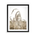 Plakat w ramie 40x50 - Ujęcie Suchych Traw - suche trawy, zbliżenie - rama czarna