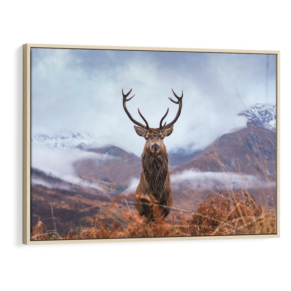 Obraz w ramie 100x70 - Jeleń w Uśpionym Krajobrazie - jeleń na tle gór, ośnieżone góry - rama drewno