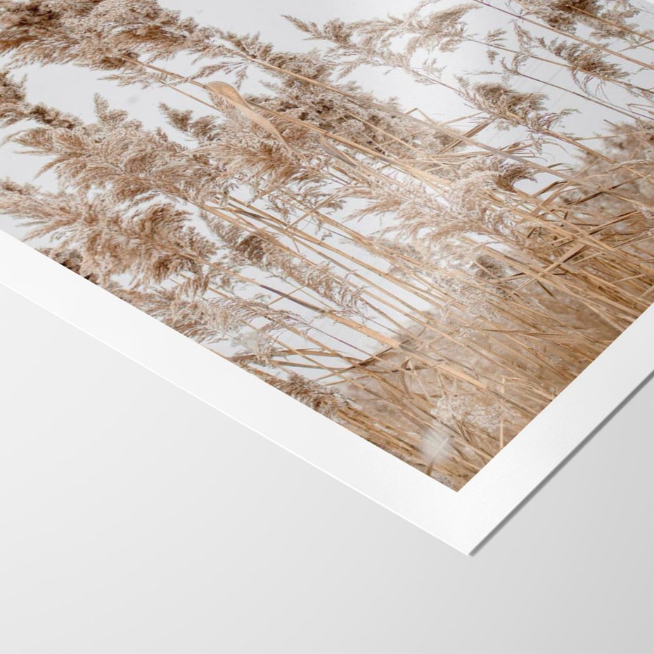 Plakat bez ramy 21x30 - Boho Urok - trawy, pampas