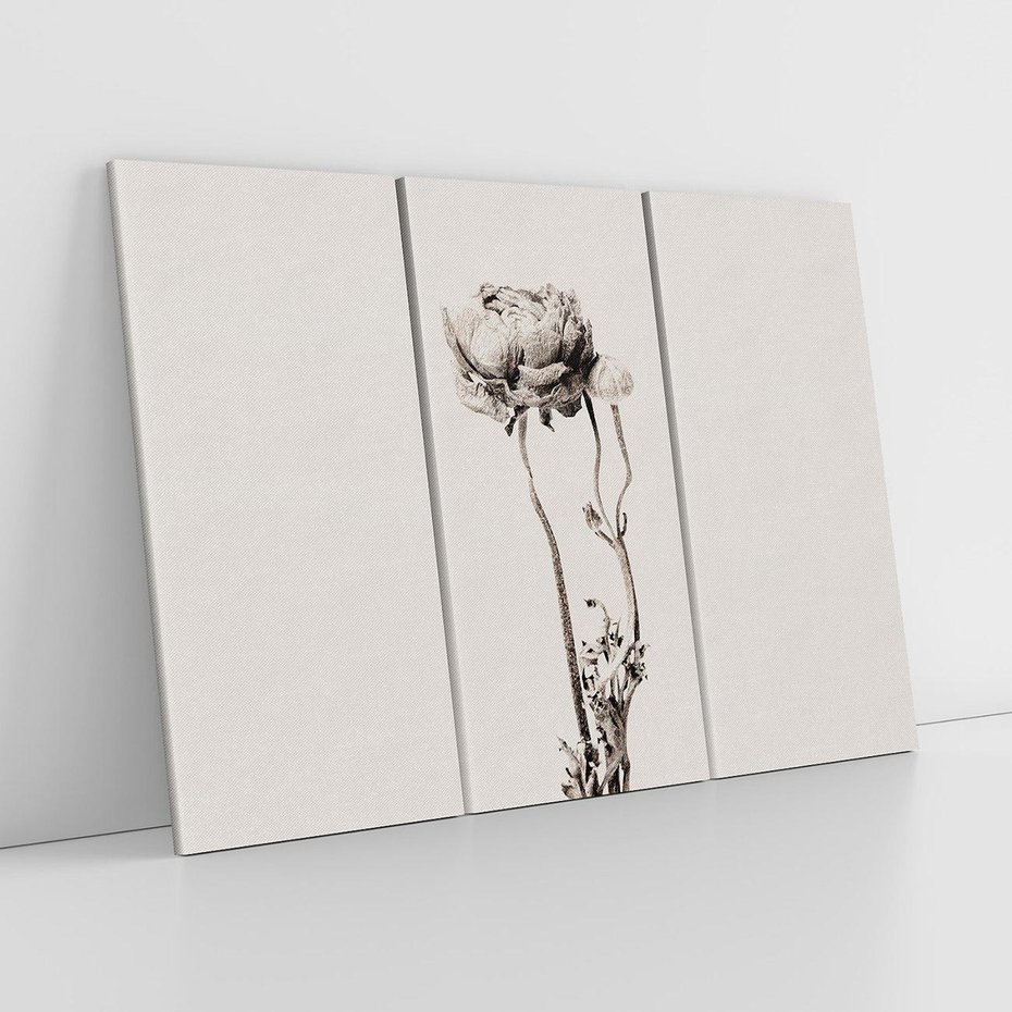 Obraz na płótnie 120x80 - Cień Kwiatowej Delikatności - kwiat, cień