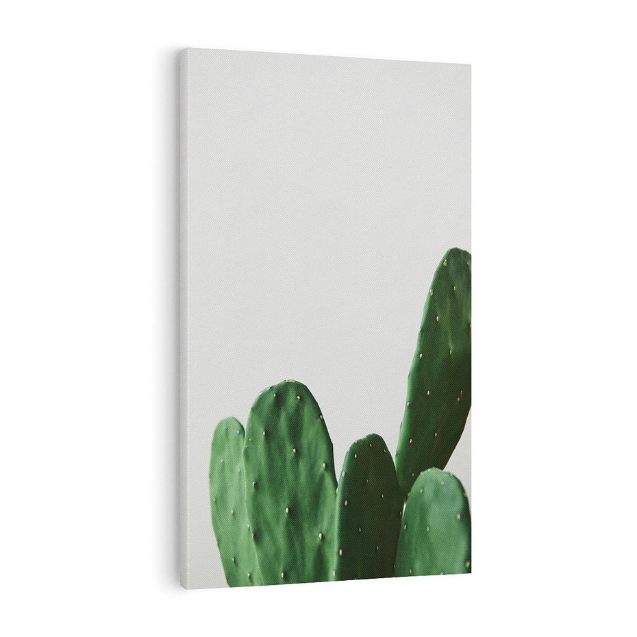 Obraz na płótnie 70x100 - Majestatyczne Wysokości - kaktusy, liście