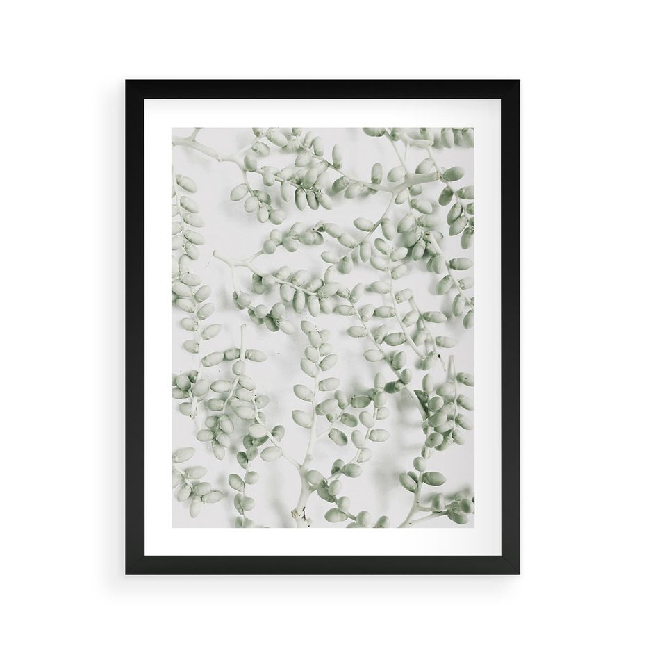 Plakat w ramie 40x50 - Delikatność Zieleni - zielone gałązki, listki - rama czarna