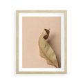 Plakat w ramie 40x50 - Boho suszone liście - suszony, liść - rama drewno