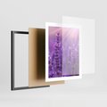 Plakat w ramie 40x50 - Fioletowa harmonia lawendy - lawenda, fiolet - rama czarna