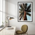 Plakat bez ramy 21x30 - Rajskie Inspiracje: Palma na Niebie - palma, na tle nieba