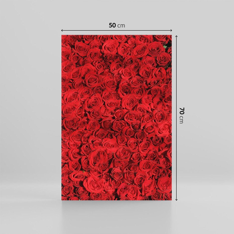 Obraz na płótnie 50x70 - Czerwona Pasja - czerwone, róże