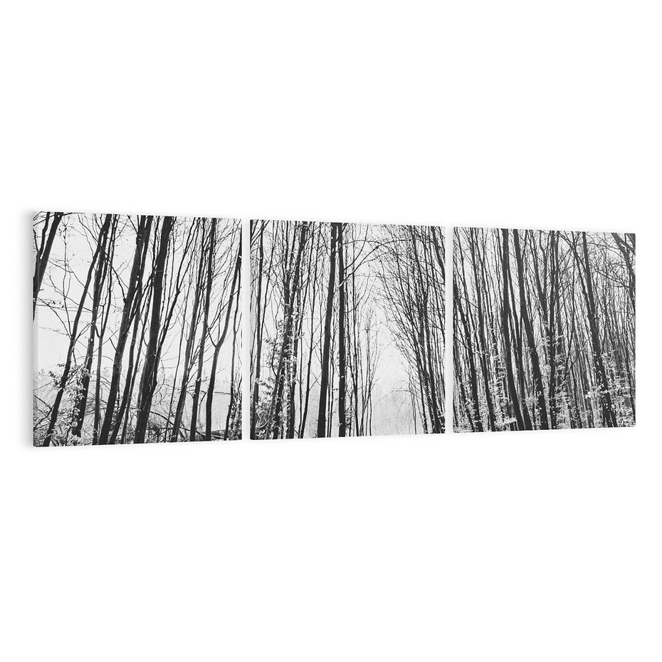 Obraz na płótnie 120x40 - Spadające Liście - czarno białe zdjecie, park