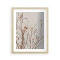Plakat w ramie 40x50 - Boho gałązki suche - gałązki, suche - rama drewno