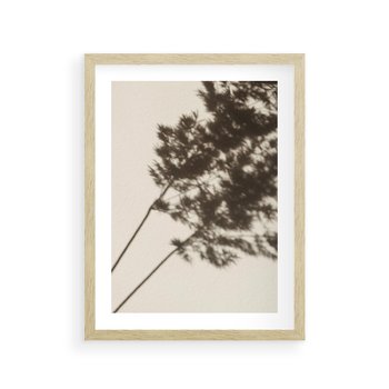 Plakat w ramie 50x70 - Tajemniczy Cień Traw - cień traw, na ścianie - rama drewno