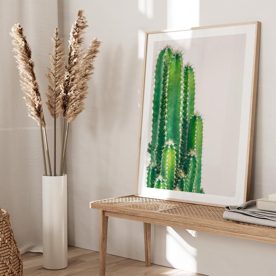 Plakat w ramie 50x70 - Minimalistyczne Kaktusy na Białym Tle - kaktusy, minimalistyczna fotografia - rama drewno
