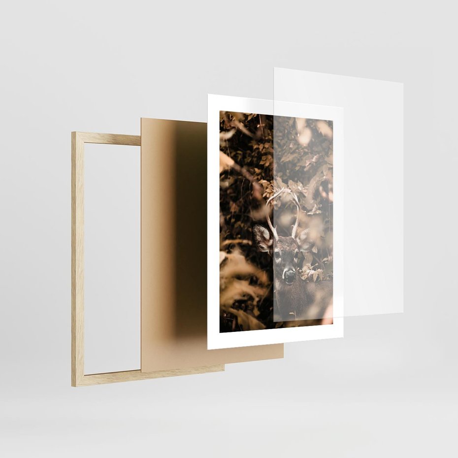 Plakat w ramie 30x40 - Jesienny Jeleń w Lesie - jeleń, w lesie - rama drewno