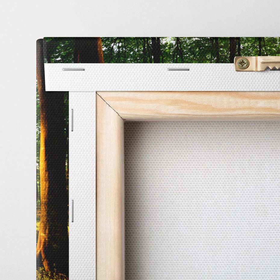 Obraz na płótnie 70x100 - Mistyfikujący urok leśnej głuszy - las, drzewa