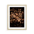 Plakat w ramie 30x40 - Jesienne Liście: Nostalgiczna Kolorystyka - suche liście, jesień - rama drewno