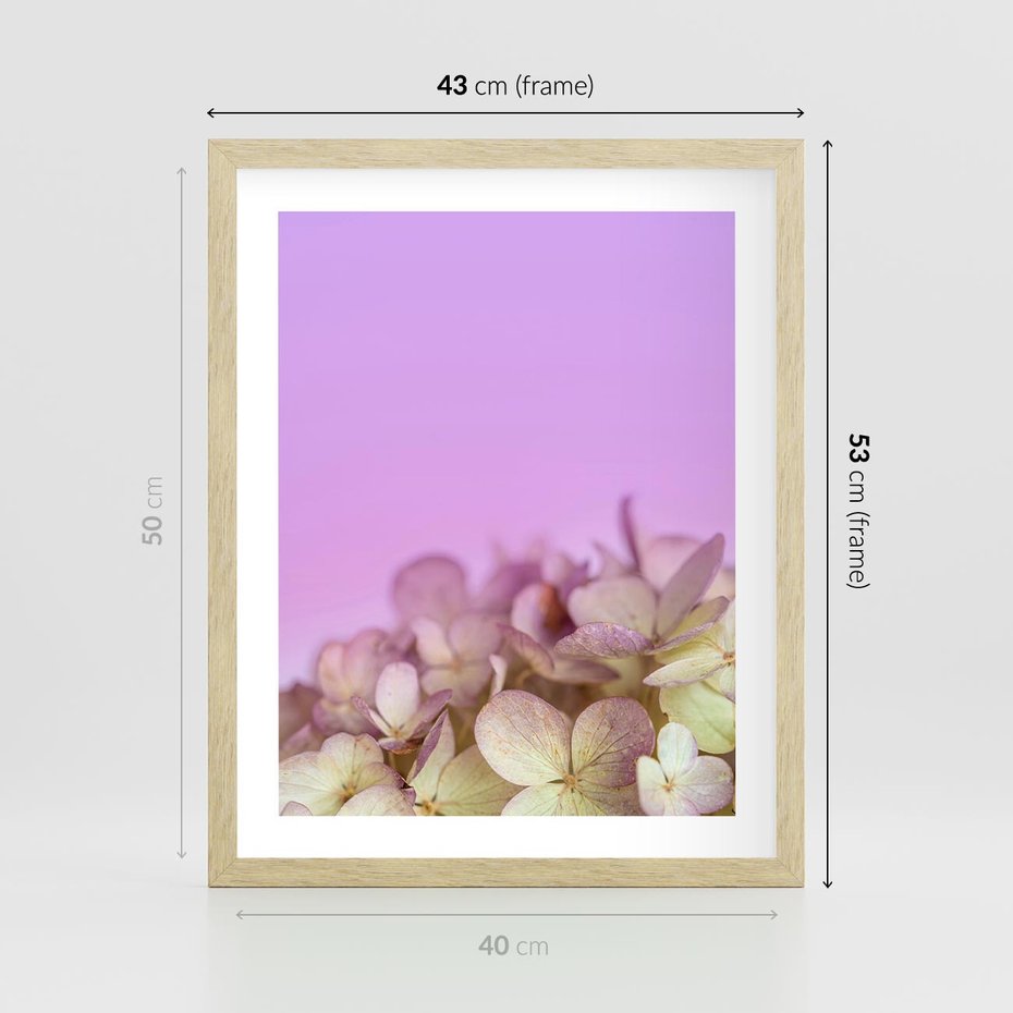 Plakat w ramie 40x50 - Kwiatowa Uroda - kwiaty, hortensje - rama drewno
