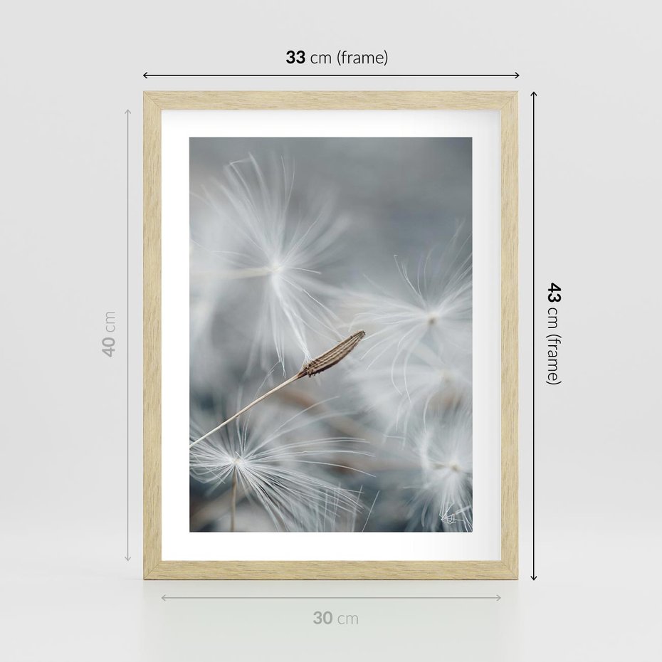 Plakat w ramie 30x40 - Piękno w Delikatności - dmuchawiec, makro zdjęcie - rama drewno