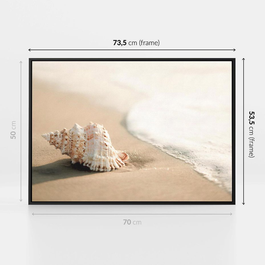 Obraz w ramie 70x50 - Urok plażowej muszelki - fotografia, muszla na plaży - rama czarna