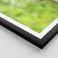Plakat w ramie 40x50 - Zielone liście natury - liści, zieleń - rama czarna
