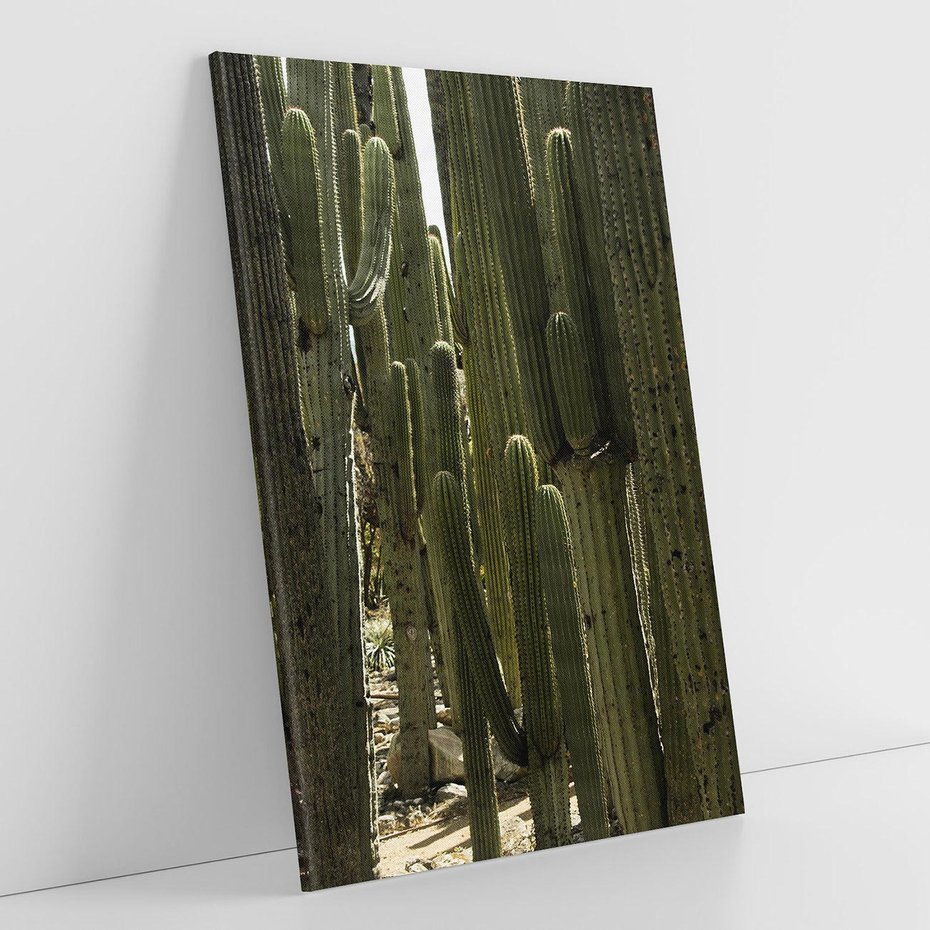 Obraz na płótnie 50x70 - Wyjątkowy Klimat Boho - kaktusy, pustynia