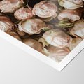Plakat bez ramy 30x40 - Róże i Różowe Kwiaty w Kompozycji - róże, różowe kwiaty