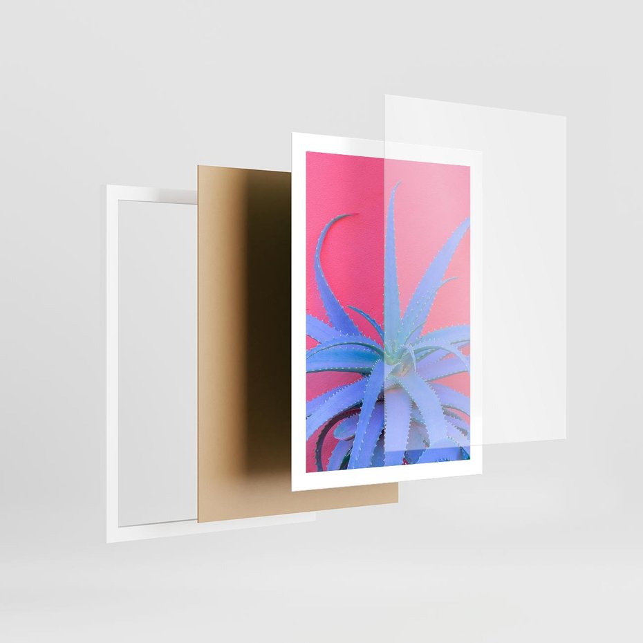 Plakat w ramie 50x70 - Piękno Pustyni - kaktusy, liście - rama biała