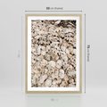 Plakat w ramie 50x70 - Symfonia Natury - kompozycja z białych muszli - rama drewno