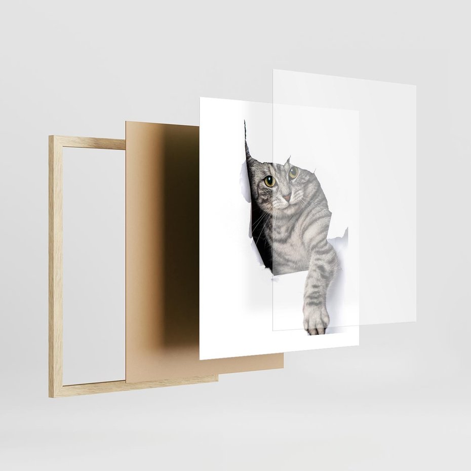 Plakat w ramie 40x50 - Tajemniczy kot i jego świat - kot, dziura - rama drewno