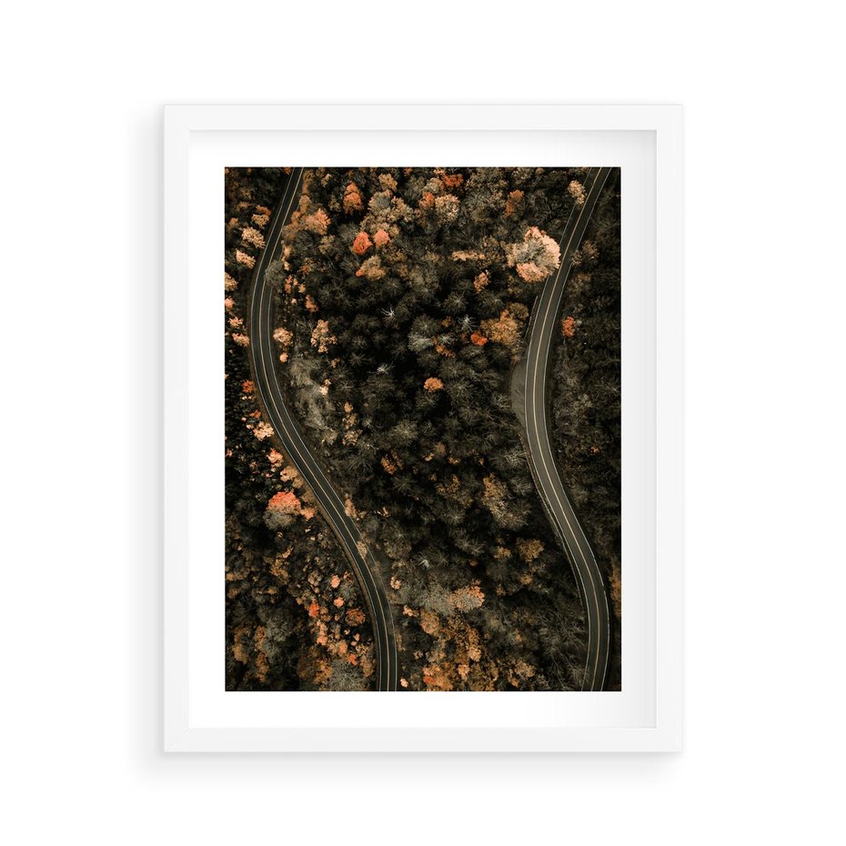 Plakat w ramie 40x50 - Las i Droga w Kolorach Jesieni - droga, ujęcie z góry - rama biała