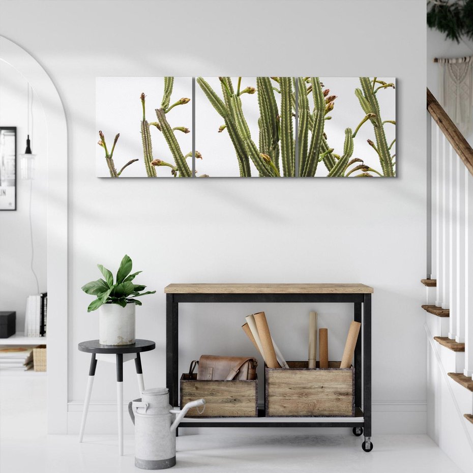 Obraz na płótnie 90x30 - Ekskluzywna Roślinność - kaktusy, liście