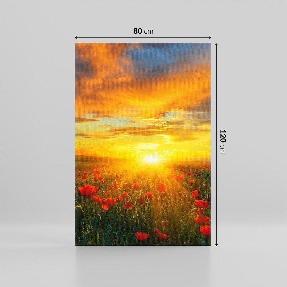 Obraz na płótnie 80x120 - Magia zachodu słońca na łące z makami - łąka, zachód słońca