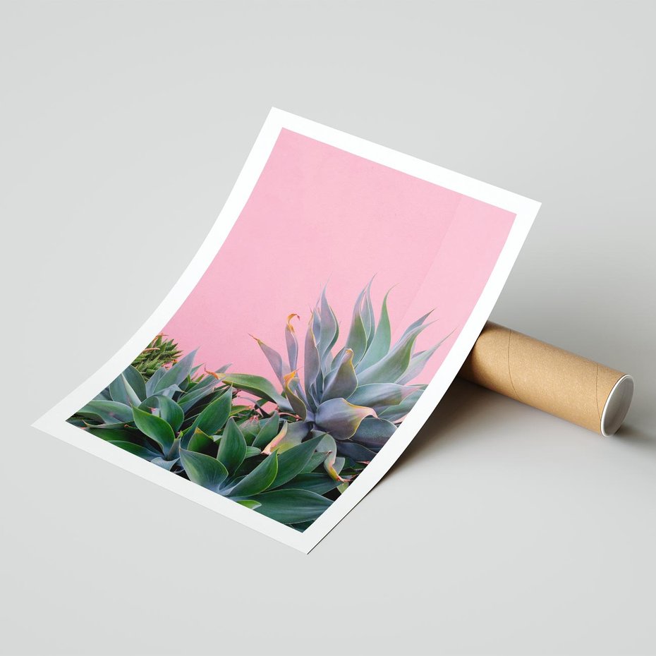 Plakat bez ramy 21x30 - Tropikalne Liście na Różowej Ścianie - różowa ściana, tropikalne liście na jej tle