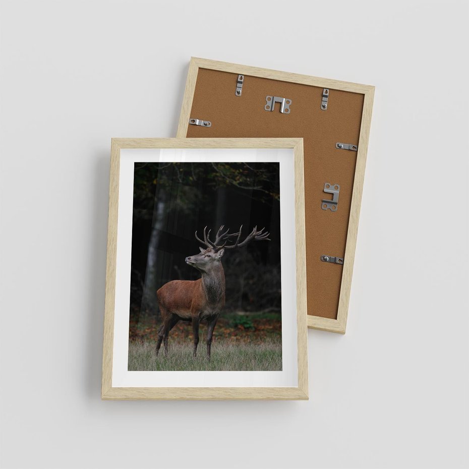 Plakat w ramie 30x40 - Spotkanie z naturą - jeleń, las - rama drewno