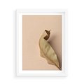 Plakat w ramie 50x70 - Boho suszone liście - suszony, liść - rama biała