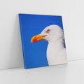 Obraz na płótnie 50x50 - Mewa nad morzem - mewa, pstak