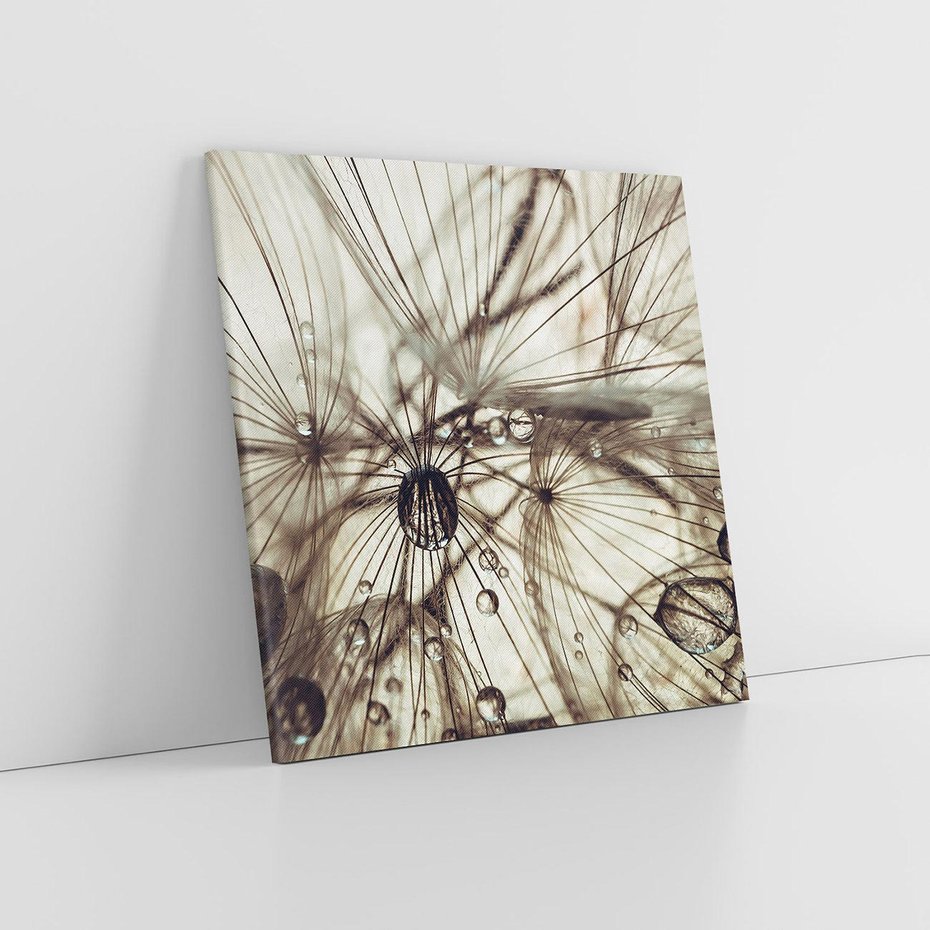 Obraz na płótnie 60x60 - Lekkie dmuchawce - dmuchawce, krople