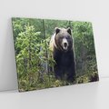 Obraz na płótnie 120x80 - Spotkanie z Niedźwiedziem w Lesie - niedźwiedź, las