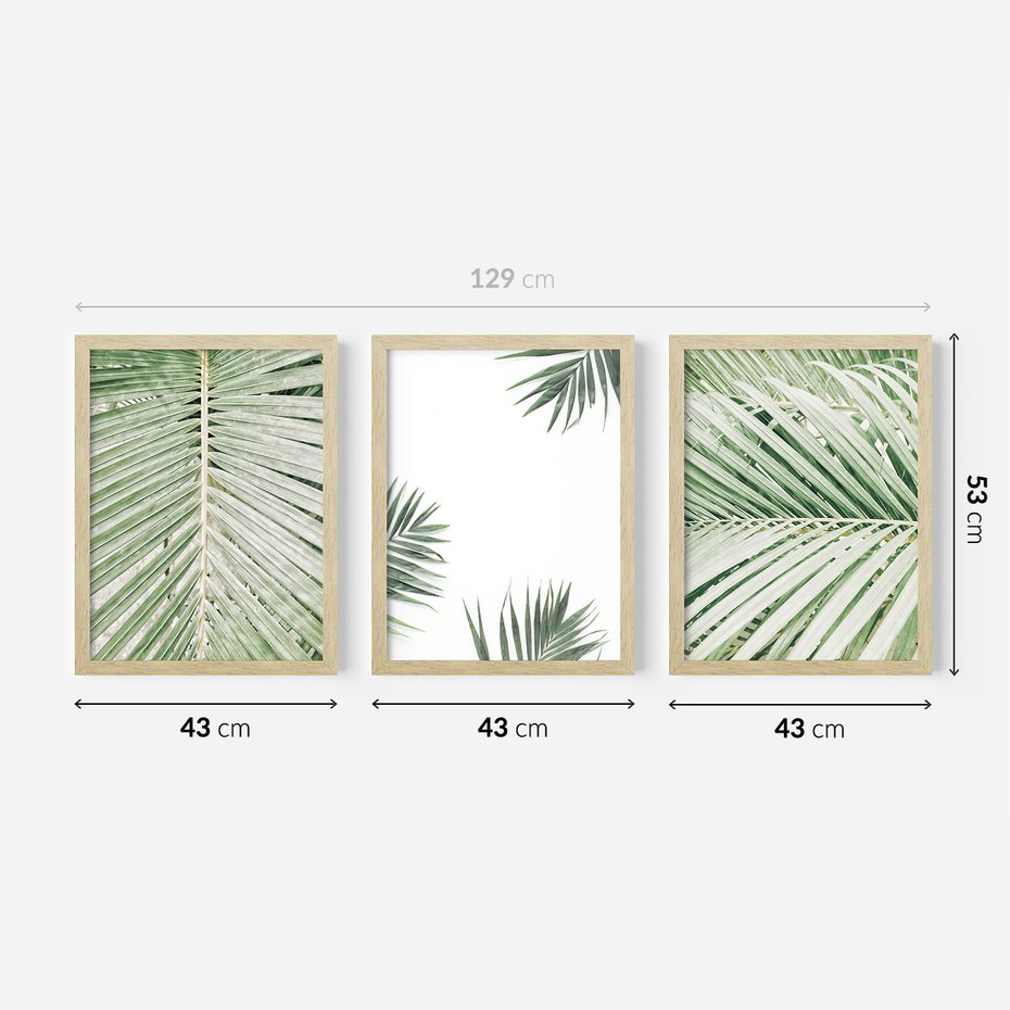 Zestaw obrazy w ramie 40x50 galeria - Liście, palma, tropikalne - rama drewno