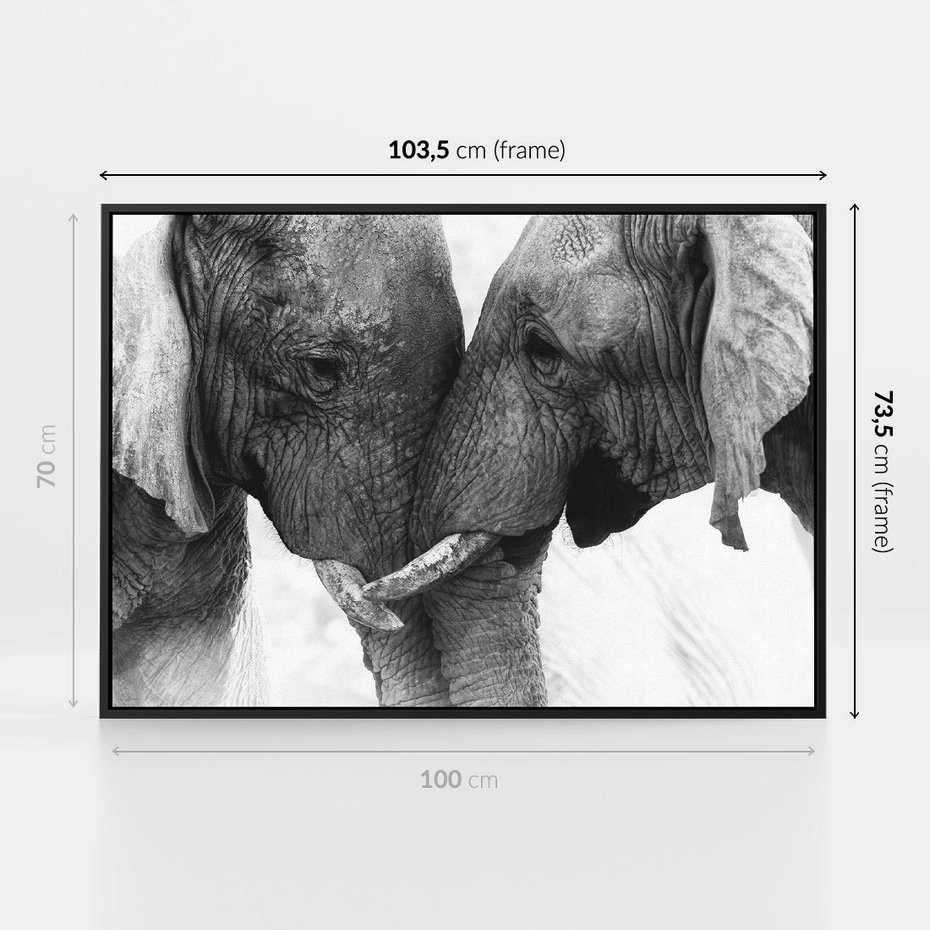 Obraz w ramie 100x70 - Spotkanie Mądrości - fotografia czarno biała, dwa słonie - rama czarna