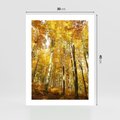 Plakat bez ramy 30x40 - Jesienny Las - Kolorowa Paleta Natury - jesień, drzewa