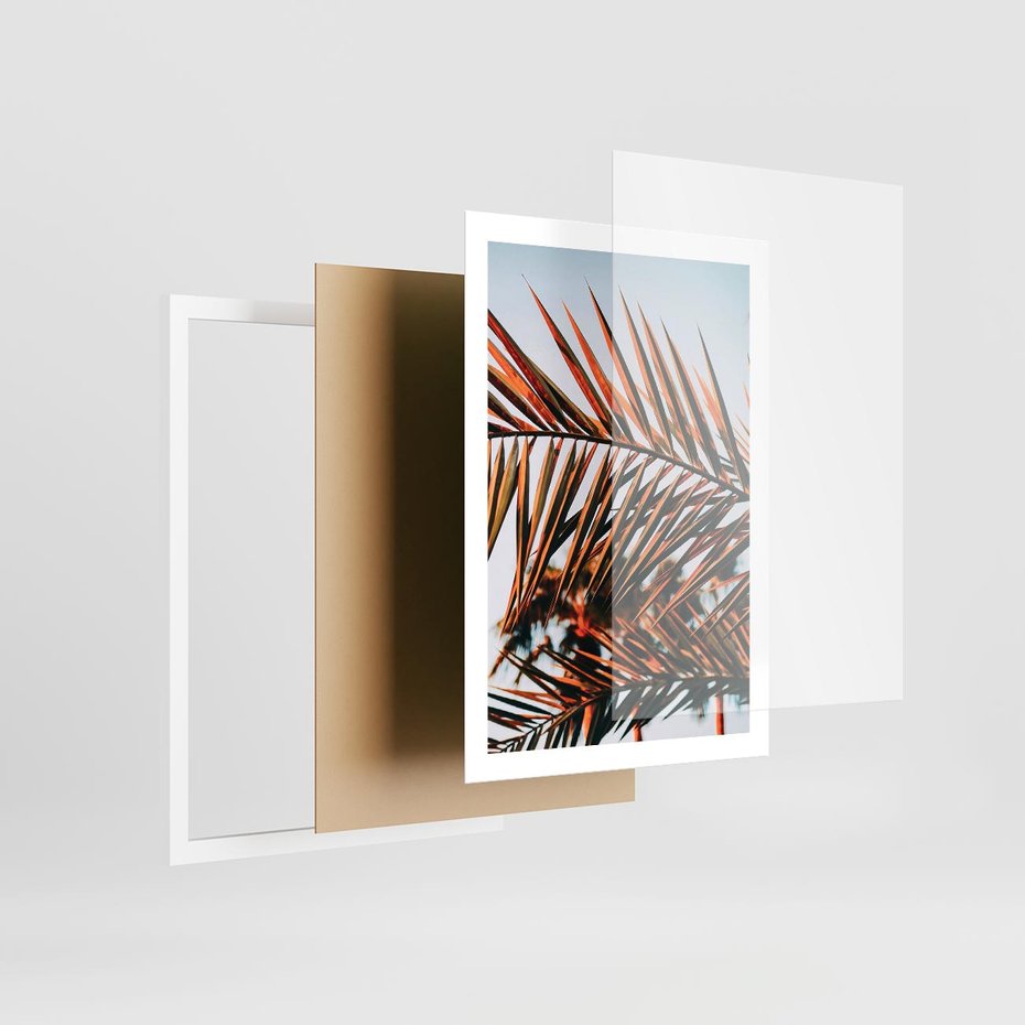 Plakat w ramie 50x70 - Tropikalna Harmonia - palma, liście palmy - rama biała