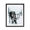 Plakat w ramie 40x50 - Zimowy Portret Łosia - łoś w zimowej scenerii - rama czarna