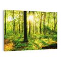 Obraz na płótnie 120x80 - Mistyfikujący las - las, drzewa
