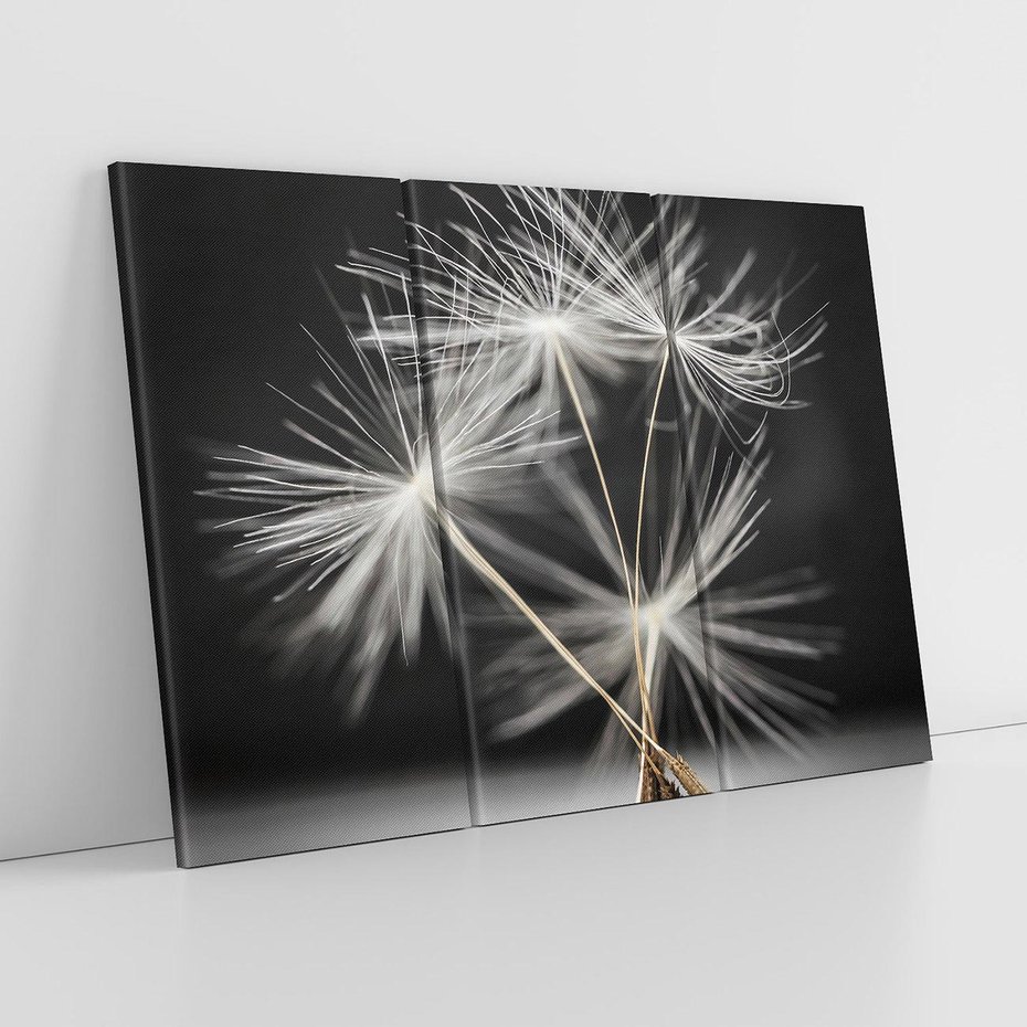 Obraz na płótnie 120x80 - Delikatność dmuchawców zbliżenie - dmuchawce, zbliżenie