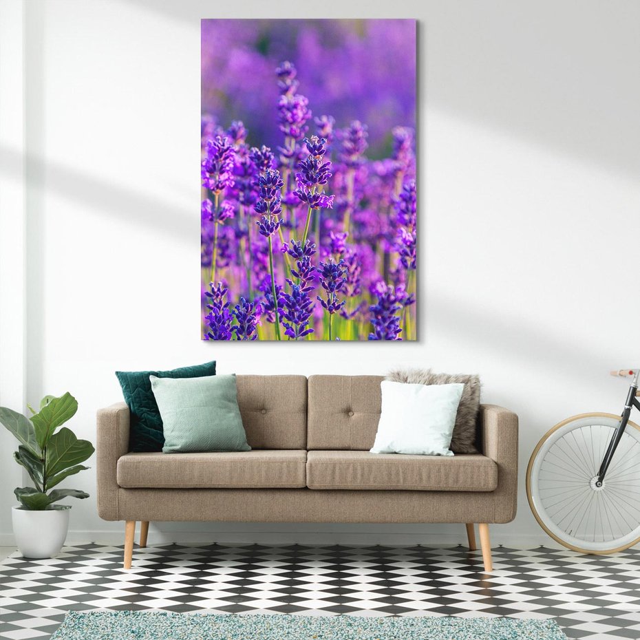 Obraz na płótnie 70x100 - Zaklęta lawenda - lawenda, kwiaty