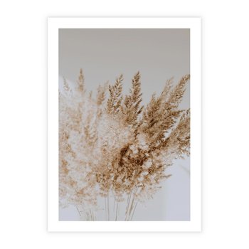 Plakat bez ramy 30x40 - Boho Urok Traw Pampasowych - suche trawy, pampas