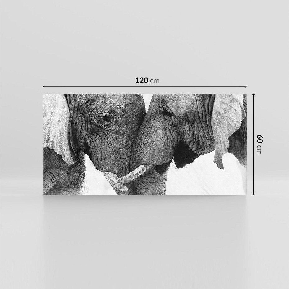 Obraz na płótnie 120x60 - Spotkanie Mądrości - fotografia czarno biała, dwa słonie