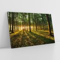 Obraz na płótnie 120x80 - Mistyfikujący urok leśnej głuszy - las, drzewa