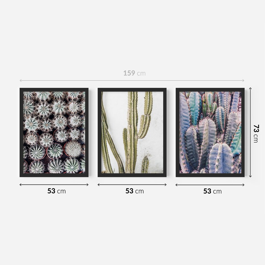 Zestaw obrazy w ramie 50x70 galeria - Kaktusy, liście, boho - rama czarna