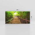 Obraz na płótnie 120x60 - Magiczne schody w lesie - schody, las