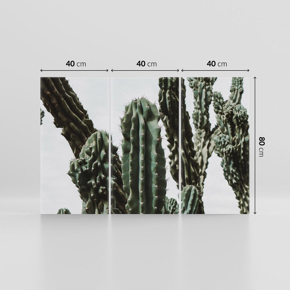 Obraz na płótnie 120x80 - Boho oaza wśród kaktusów - kaktusy, pustynia